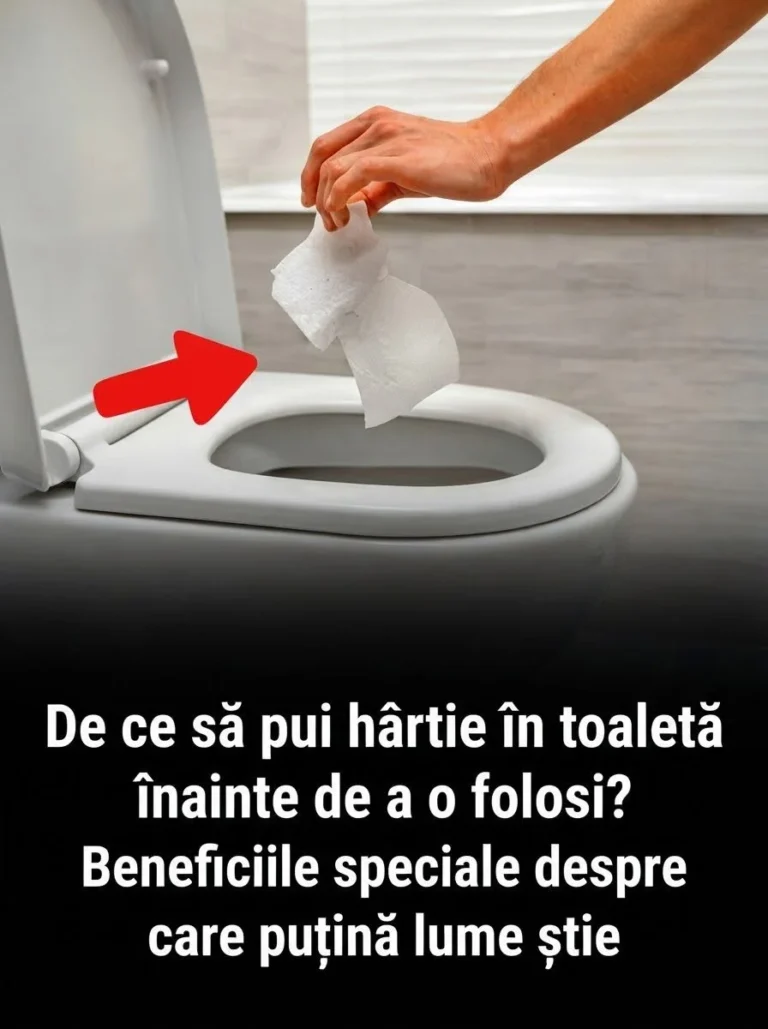 Dacă pui o bucată de hârtie în vasul de toaletă înainte să o folosești, te poate ajuta să rezolvi o problemă foarte importantă 👇