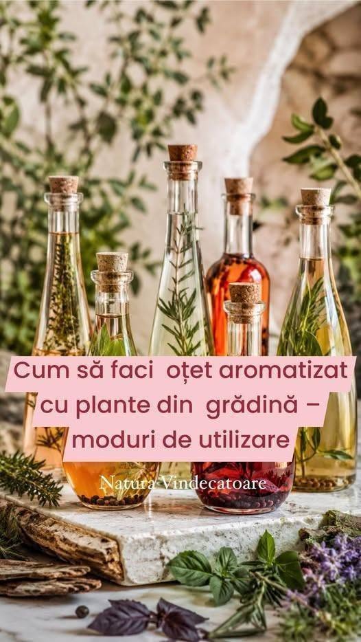 Cum să faci oțet aromatizat cu plante din grădină – moduri de utilizare