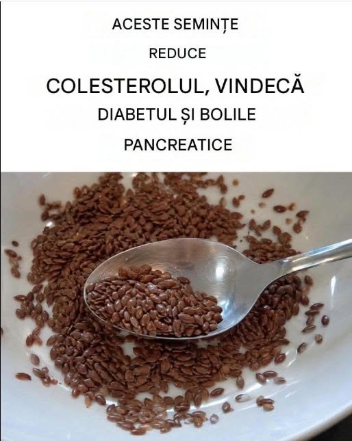 Fructe de pădure: un aliat pentru pancreas
