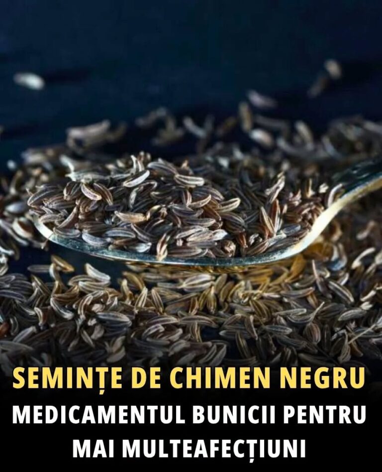 Semințe de chimen negru ➠ medicamentul bunicii