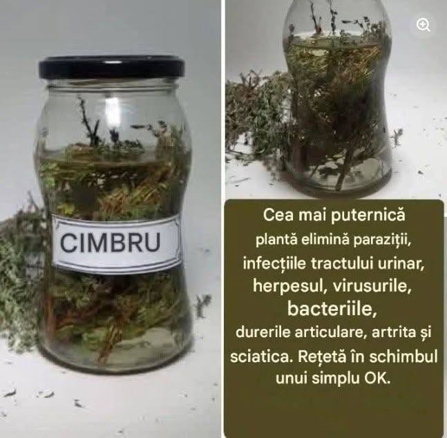 Proprietățile terapeutice ale cimbrului