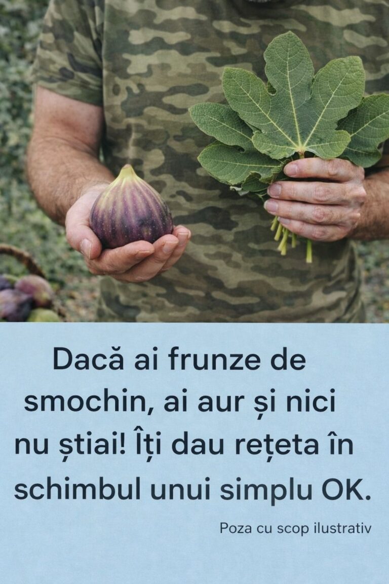 Frunzele de smochin au fost utilizate în medicina tradițională de secole, dar adesea rămân în umbra altor plante medicinale. Aceste frunze nu doar că ajută persoanele cu diabet, ci oferă și o paletă variată de beneficii pentru sănătate. În acest articol, vom explora proprietățile terapeutice ale frunzelor de smochin, utilizările lor tradiționale și modalitățile prin care pot fi integrate în viața de zi cu zi pentru a sprijini sănătatea generală.