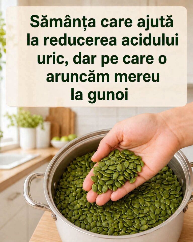 De ce sunt semințele de dovleac atât de valoroase?