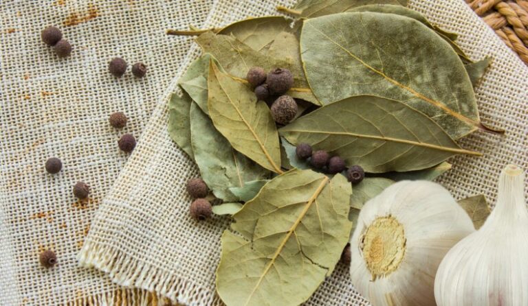 Ingrediente necesare pentru oțetul medicinal