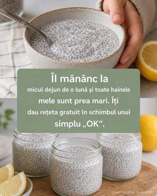 În diminețile aglomerate, un mic dejun pregătit din timp poate transforma întreaga ta zi. Semințele de chia, combinate cu iaurt sau lapte, nu doar că oferă o soluție rapidă și delicioasă, dar aduc și numeroase beneficii pentru sănătate. În acest articol, vom explora cum poți integra semințele de chia în alimentația ta și cum să le prepari pentru un mic dejun nutritiv și satisfăcător.