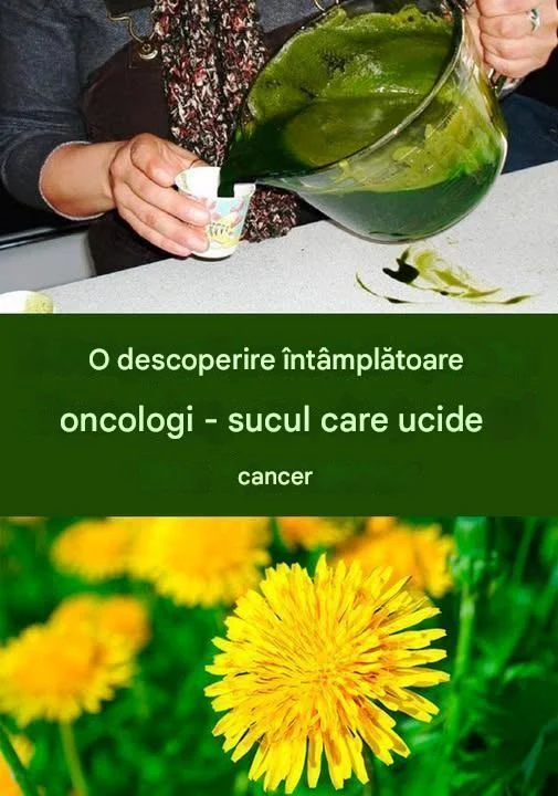 Păpădia și Cancerul: Ce Spun Dovezile Științifice