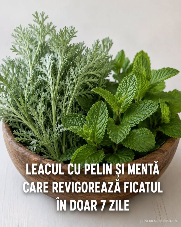 Pelin și mentă pentru digestie: ce beneficii pot avea și când trebuie evitate 🌿