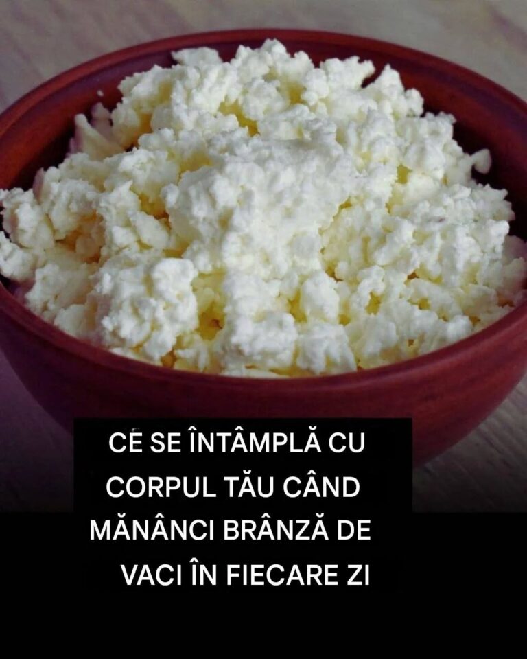 De ce brânza de vaci merită un loc în dieta ta zilnică
