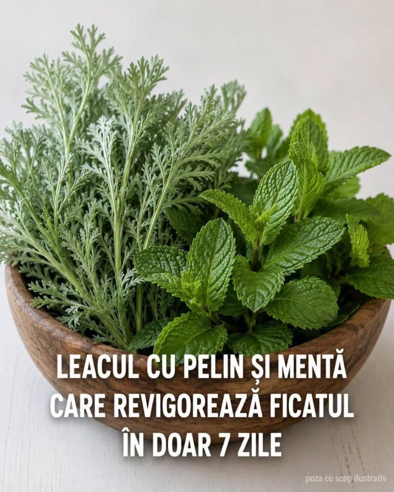 REVIGOREAZA FICATUL ÎN DOAR 7 ZILE !  DACĂ DORIȚI SĂ PRIMIȚI MAI MULTE REȚETE DE LA MINE, SCRIEȚI „DA” Rețeta