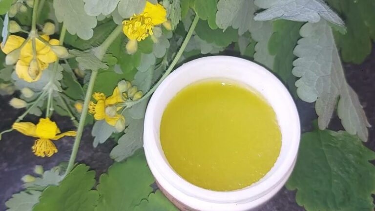 Rostopasca este o plantă adesea ignorată, dar care ascunde o serie de beneficii remarcabile pentru sănătatea pielii. Deși este frecvent întâlnită pe marginea drumurilor sau în grădini, utilizările sale în medicina tradițională europeană sunt impresionante. Această plantă nu doar că ajută la ameliorarea problemelor cutanate, dar este și un aliat de nădejde în îmbunătățirea circulației periferice. Descoperiți în continuare cum poate fi folosită rostopasca pentru a vă sprijini sănătatea pielii.Floră și faună