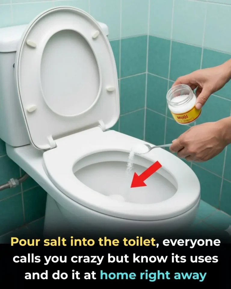 Ingrediente naturale pentru cur??area toaletei