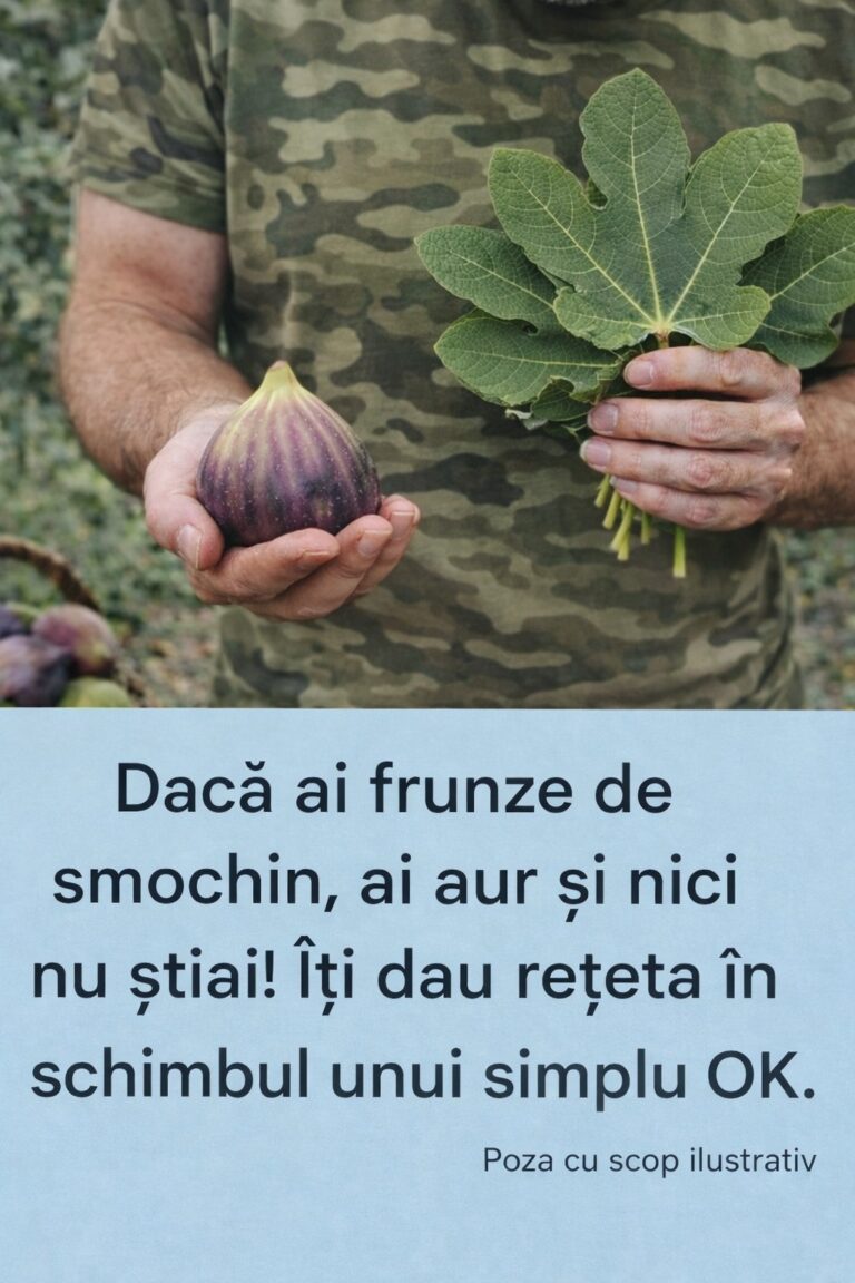 Frunzele de smochin: beneficii și utilizări în medicina tradițională