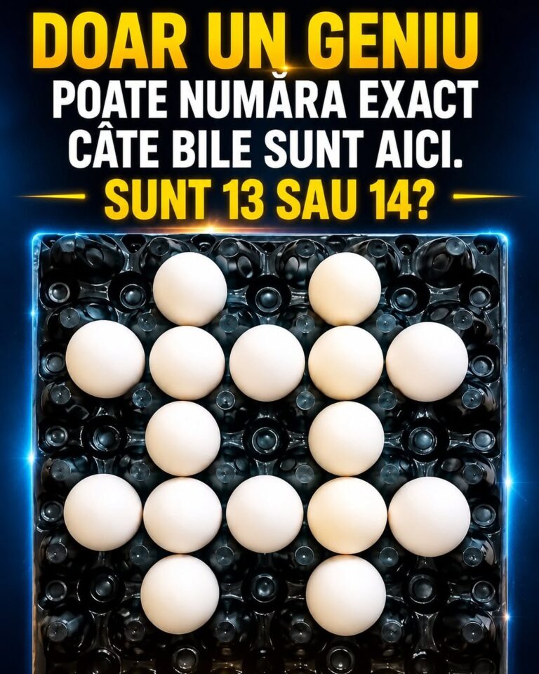 Provocarea ghicitorii