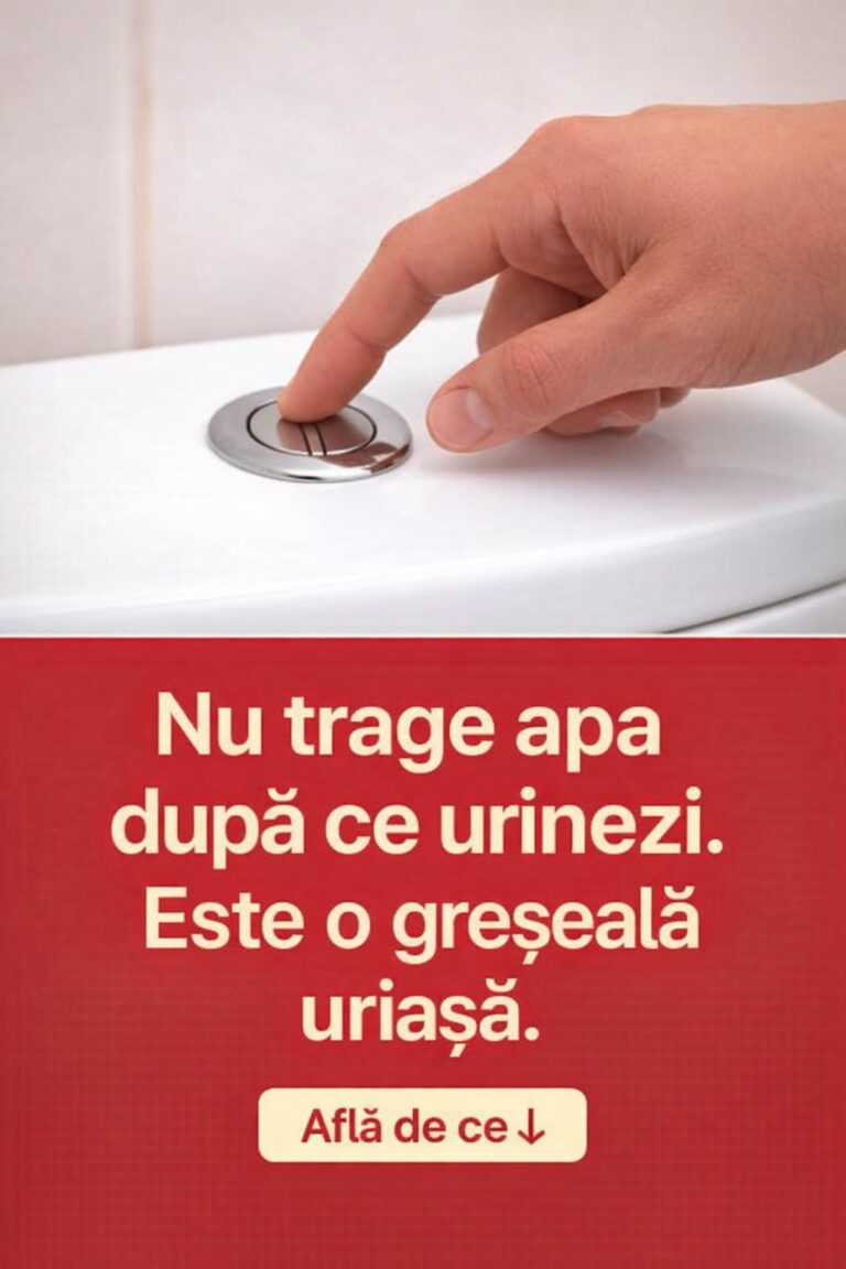 Economisirea Apei: Obiceiuri Simple pentru un Consum Responsabil