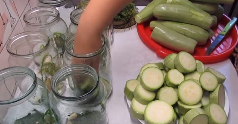 Rețetă delicioasă de dovlecei murați